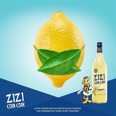 Cliquez pour agrandir