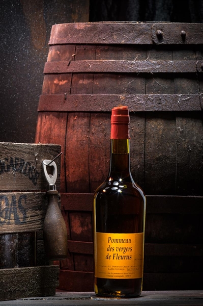 Cliquez pour agrandir