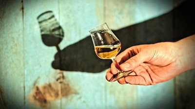 Cliquez pour agrandir