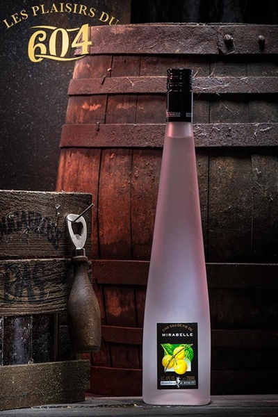 Cliquez pour agrandir