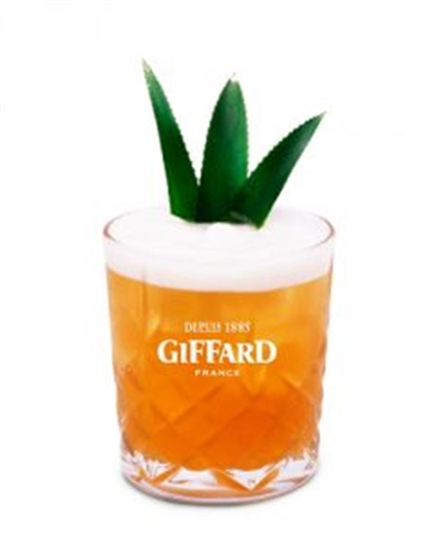 Cliquez pour agrandir