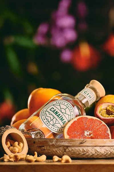 Cliquez pour agrandir