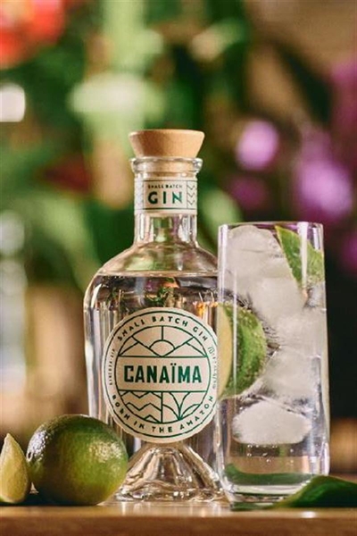 Cliquez pour agrandir