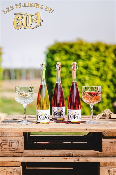 Cliquez pour agrandir