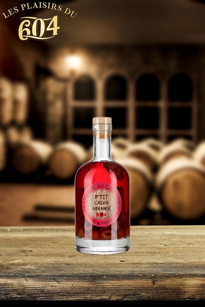 Cliquez pour agrandir