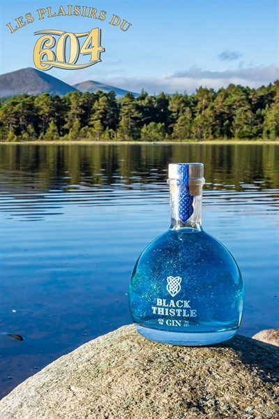 Cliquez pour agrandir