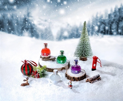 Cliquez pour agrandir