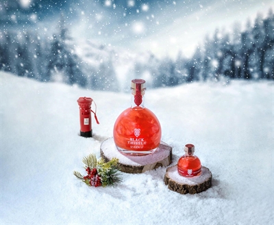 Cliquez pour agrandir