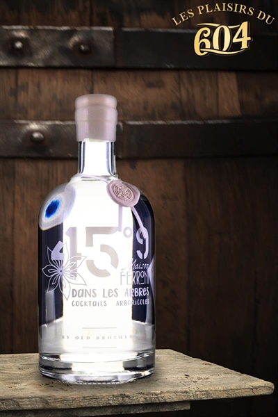 Cliquez pour agrandir