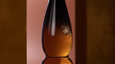 Cliquez pour agrandir