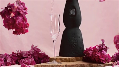 Cliquez pour agrandir