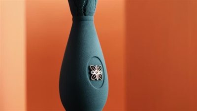 Cliquez pour agrandir