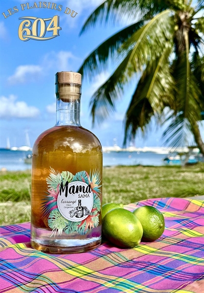 Cliquez pour agrandir