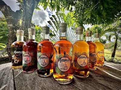 Cliquez pour agrandir