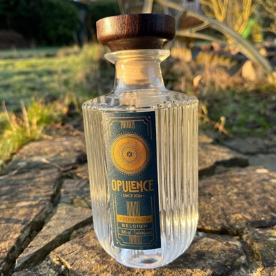 Cliquez pour agrandir